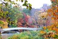 New York City Central Park Pedicab Tour thumbnail 3