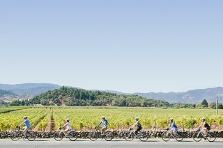 Napa Valley E-Bike Winery Tour with Picnic Lunch