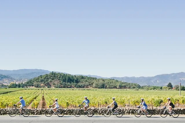 Napa Valley E-Bike Winery Tour with Picnic Lunch - Image 1