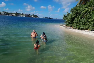 Miami Snorkel Adventure and Sandbar Trip 2 hr