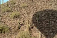 Phoenix Hot Air Balloon Ride Over the Sonoran Desert thumbnail 2