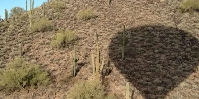 Phoenix Hot Air Balloon Ride Over the Sonoran Desert - Image 2
