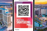 Las Vegas Sightseeing Day Pass thumbnail 1