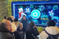 New York Christmas Holiday Lights Walking Tour 2 hr thumbnail 5