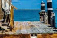 Madeira Beach Egmont Key Snorkeling and Dolphin Cruise 4 hr thumbnail 4