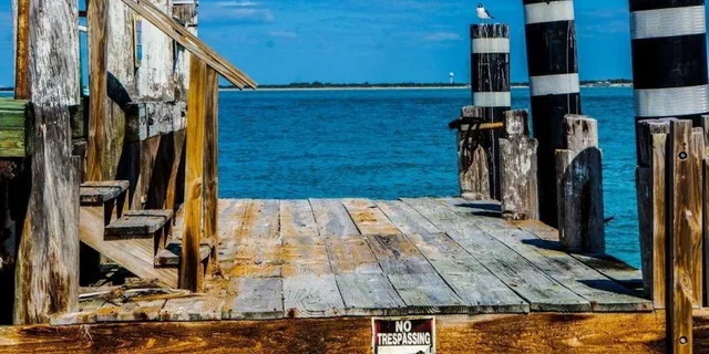 Madeira Beach Egmont Key Snorkeling and Dolphin Cruise 4 hr - Image 4