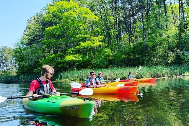 Cape Cod Kayak Tour - Image 2