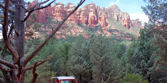Sedona Jeep Tour Red Rock West Trail 2 hr - Image 6