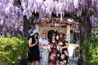Temecula Wine Tour with Lunch thumbnail 4