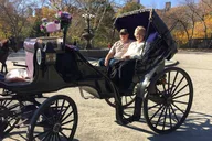 New York Central Park Horse Carriage Ride thumbnail 6