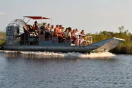 New Orleans Airboat Swamp Adventure thumbnail 1