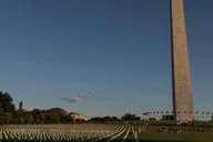 Washington D.C. and Mount Vernon Day Tour thumbnail 5