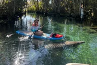 Crystal River Paddle Board Rental 3 Hr thumbnail 2