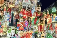 New York Dyker Heights Christmas Lights Tour 4 hr thumbnail 2