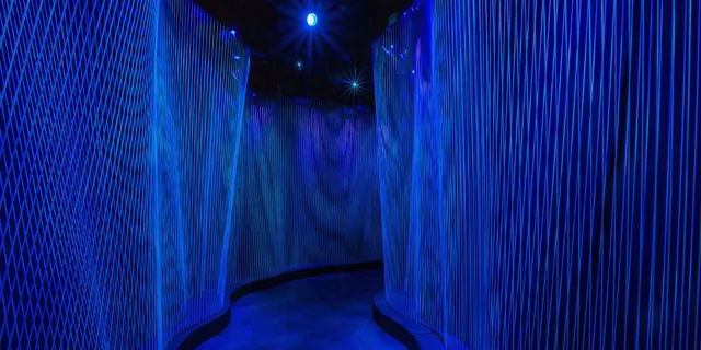 Washington DC Museum of the Bible Admission - Image 5