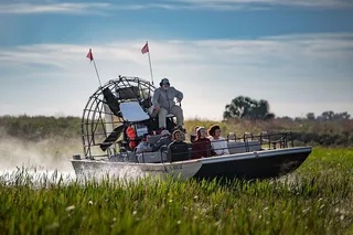 Boggy Creek Airboat Adventure with Gem Mining and Lunch