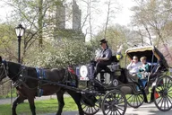 New York City Horse Carriage Tour in Central Park thumbnail 1