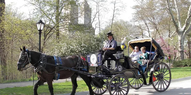 New York City Horse Carriage Tour in Central Park - Image 1