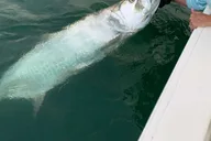 Key West Inshore Fishing Charter 4 hr thumbnail 3