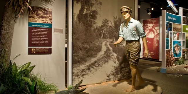 West Palm Beach Museum Guided Tour - Image 2