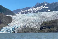 Juneau Mendenhall Glacier and Whale Watching Tour thumbnail 3
