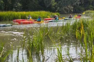 Hilton Head Private Outback Kayak Tour thumbnail 6