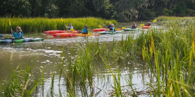 Hilton Head Private Outback Kayak Tour - Image 6