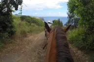 Maui Horseback Adventure at Circle M Ranch thumbnail 6