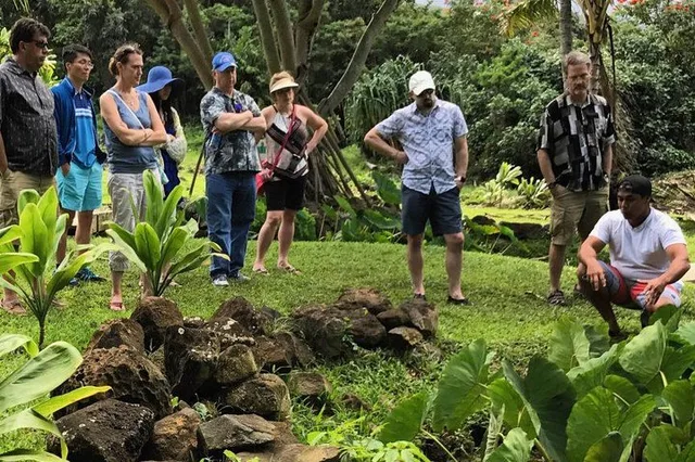 Oahu Culture Tour with a Local Guide - Image 2
