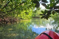 Key West Kayak or Paddleboard Rental 2 hr thumbnail 5
