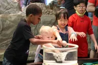 Denver Museum of Nature and Science Entry Ticket thumbnail 4