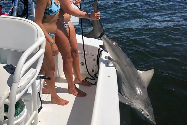 Tampa Bay Shark Fishing - Image 2