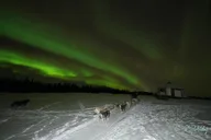 Fairbanks Northern Lights Dog Sled Tour with Dinner thumbnail 6