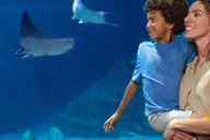 Orlando SeaWorld Park Admission Ticket thumbnail 1