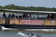 Galveston Sunset Cruise thumbnail 2