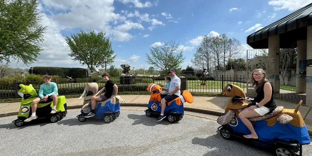 Chattanooga Rydable Scooter Tour 1 hr - Image 6
