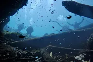 Florida Rainbow River Snorkel or Dive thumbnail 6