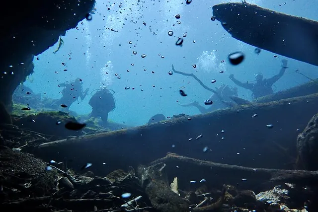 Florida Rainbow River Snorkel or Dive - Image 6