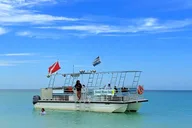 Panama City Beach Dolphin Sightseeing Boat Tour thumbnail 4