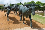 Dallas Private Walking Tour thumbnail 5