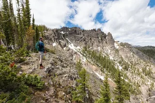 Yellowstone Sepulcher Mountain Naturalist Hike