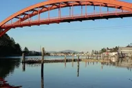 Seattle Tulip Festival Day Trip thumbnail 2