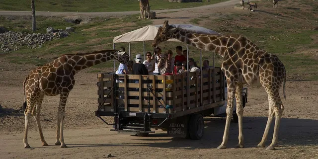 San Diego Zoo and Safari Park 2-Day Pass - Image 2