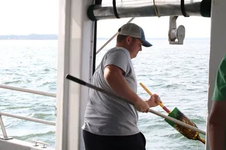 Plymouth Lobstering Eco Tour 75 min