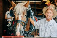 Charleston Historical Horse-drawn Carriage Tour thumbnail 3