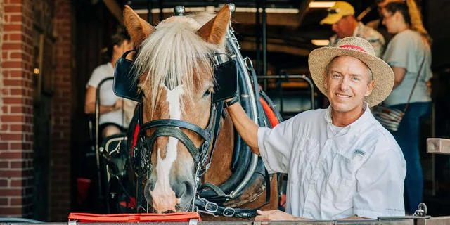 Charleston Historical Horse-drawn Carriage Tour - Image 3