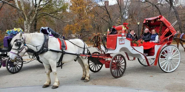New York City Horse-Drawn Carriage Ride - Image 3