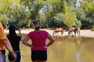 Scottsdale Sonoran Desert Jeep Tour thumbnail 2