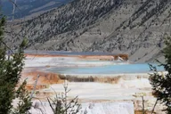 Yellowstone & Grand Teton Wildlife Tour 3-Day thumbnail 3