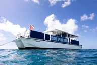 Waikiki Turtle Canyon Snorkel Tour thumbnail 3